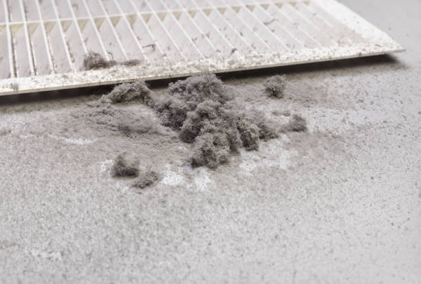 Best Dryer Vent Cleaning Services  in Clayton, NC