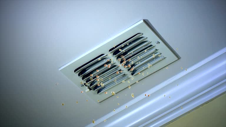 Best Emergency Air Duct Cleaning  in Clayton, NC