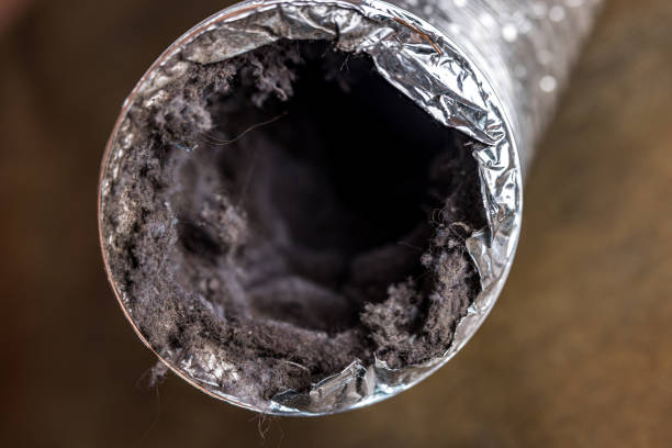 Best Air Duct Cleaning Company Near Me  in Clayton, NC